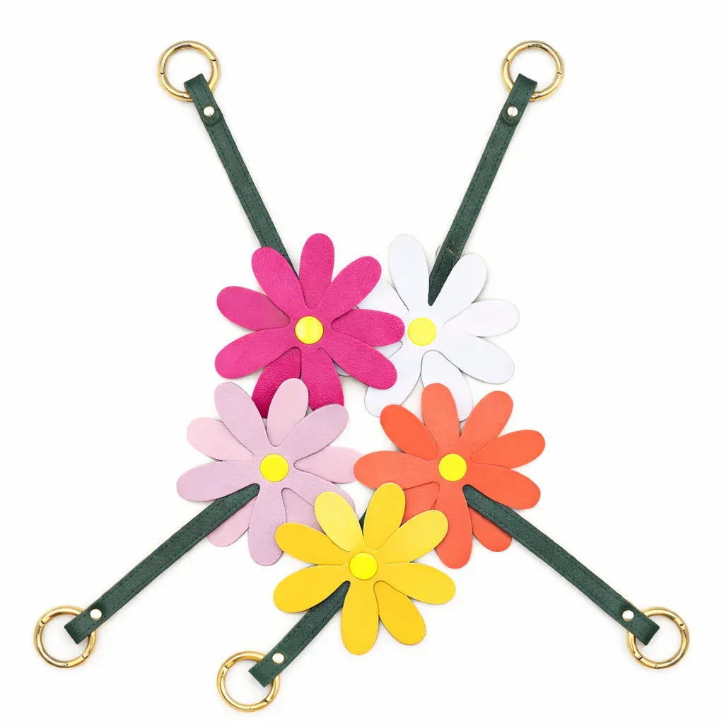 5 different colored Petal Pop Bag Charms with leather strap and brass ring in a circle.